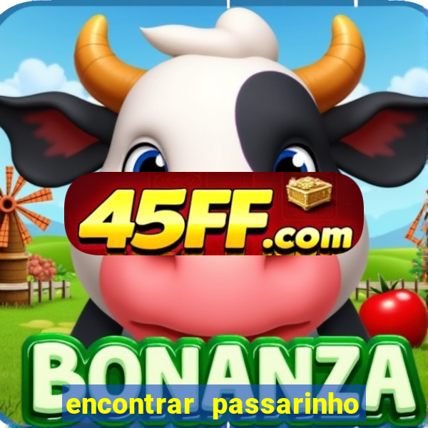 encontrar passarinho morto significado